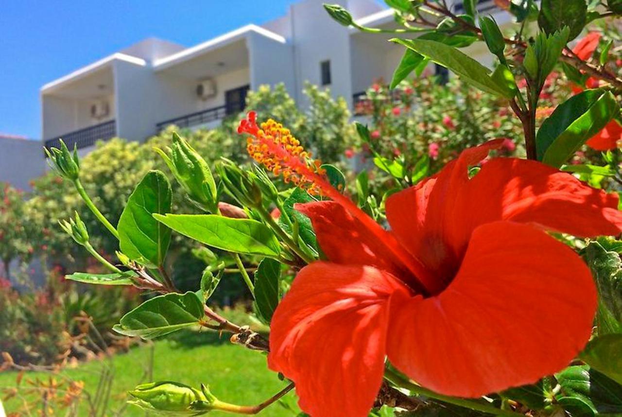Debbi Appartments And Hotel Ialysos  Ngoại thất bức ảnh